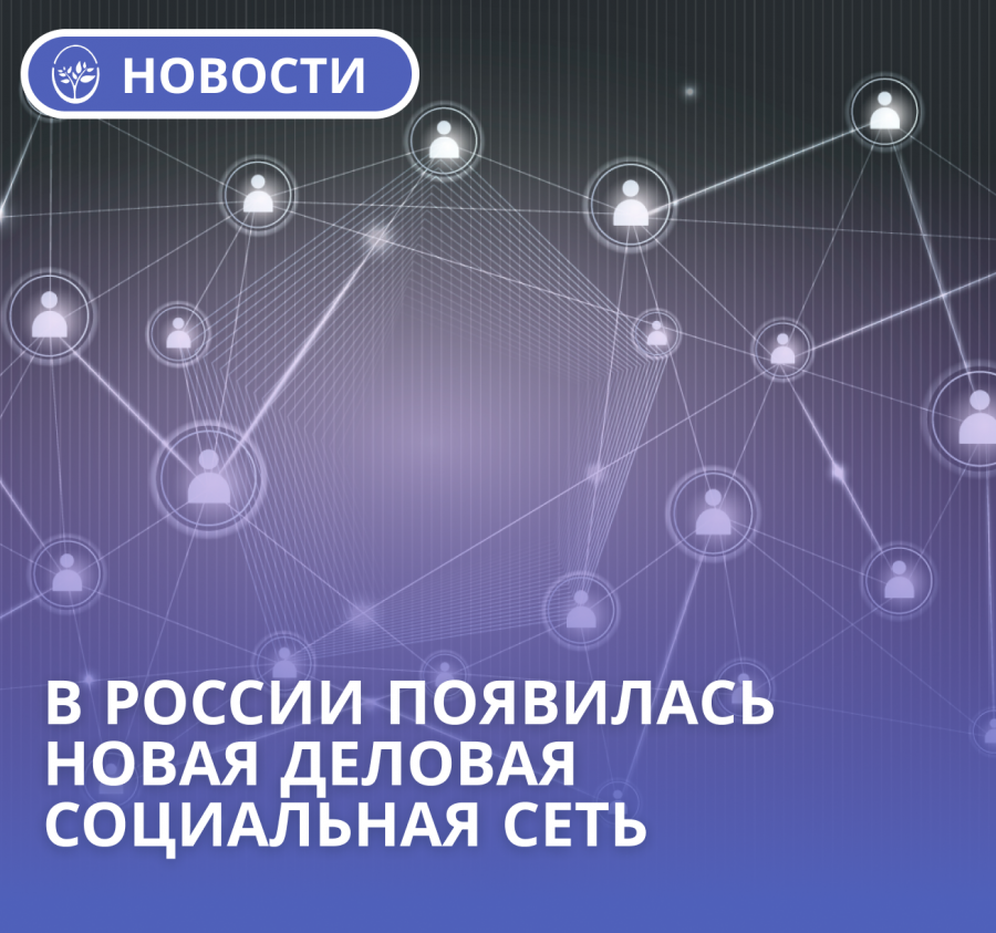  В России появилась новая деловая социальная сеть