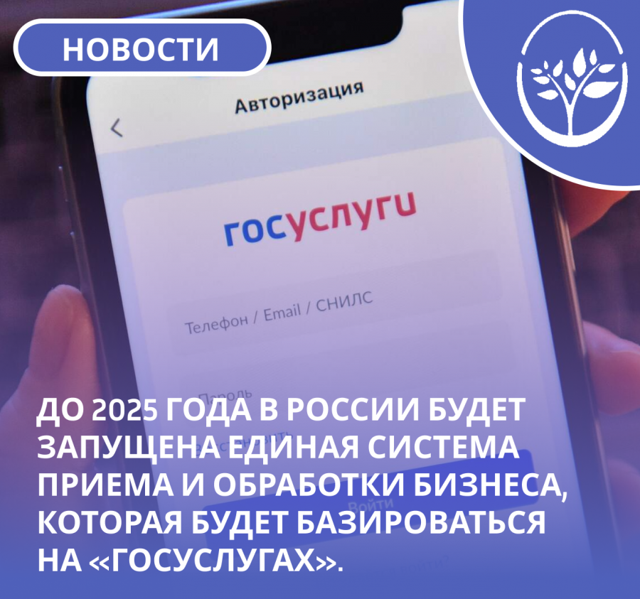  До 2025 года в России будет запущена единая система приема и обработки бизнеса, которая будет базироваться на «Госуслугах».