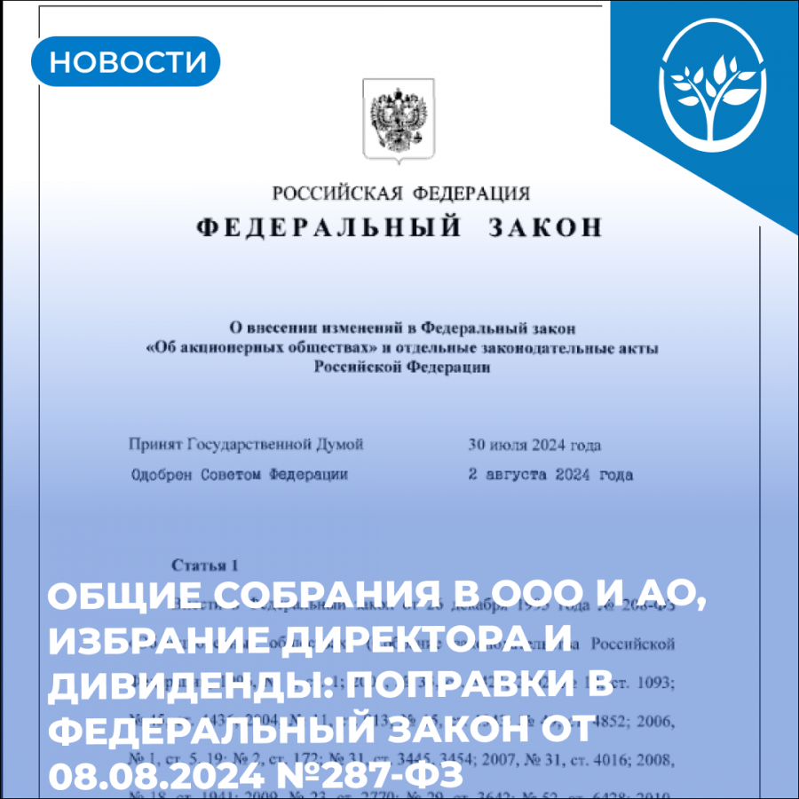 Общие собрания в ООО и АО, избрание директора и дивиденды: опубликован закон с важными поправками