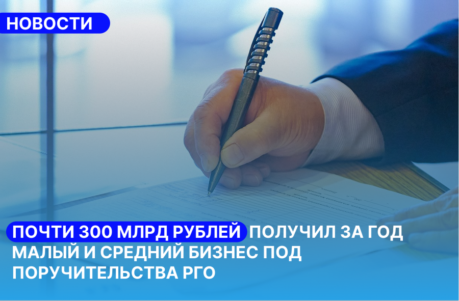 Почти 300 млрд рублей получил за год малый и средний бизнес под поручительства РГО